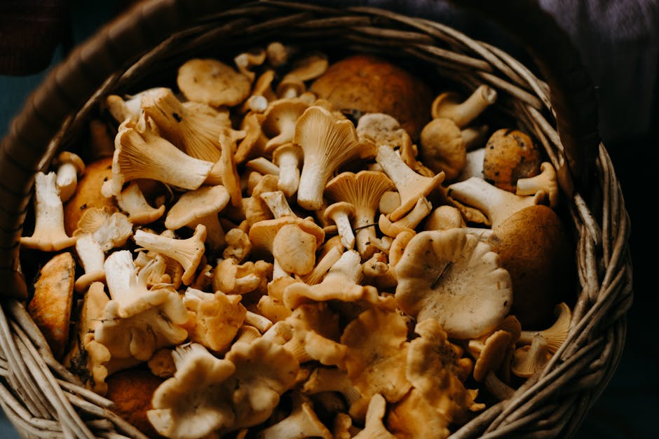 Autumn vegetables and fruits prepared on a rustic kitchen counter.
